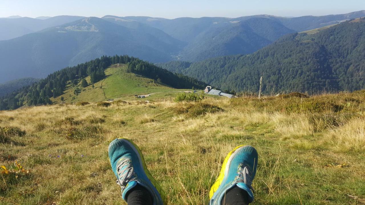 Le Montagnard Au Pied Des Pistes, Station Du Gaschney, Altitude 1000 M Apartamento Muhlbach-sur-Munster Exterior foto