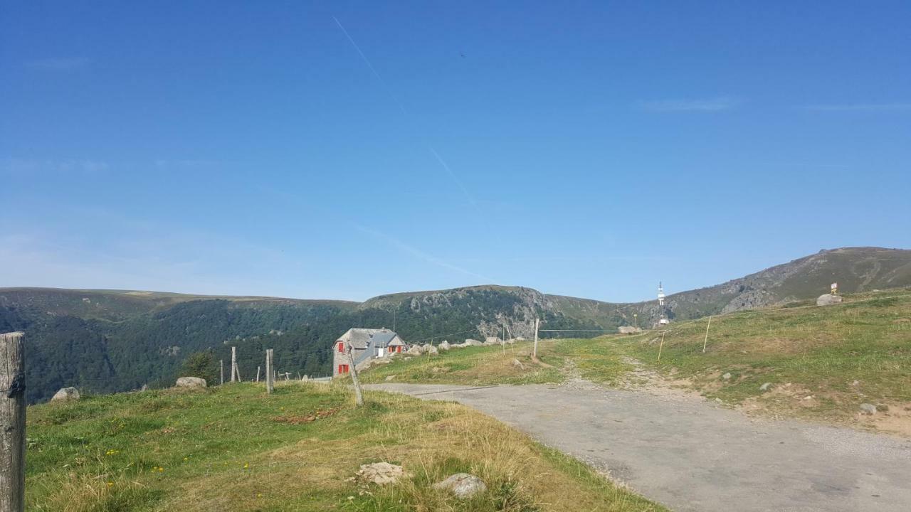 Le Montagnard Au Pied Des Pistes, Station Du Gaschney, Altitude 1000 M Apartamento Muhlbach-sur-Munster Exterior foto