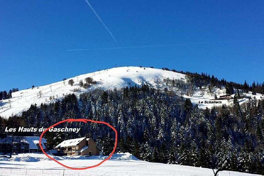 Le Montagnard Au Pied Des Pistes, Station Du Gaschney, Altitude 1000 M Apartamento Muhlbach-sur-Munster Exterior foto