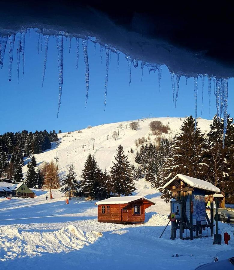 Le Montagnard Au Pied Des Pistes, Station Du Gaschney, Altitude 1000 M Apartamento Muhlbach-sur-Munster Exterior foto